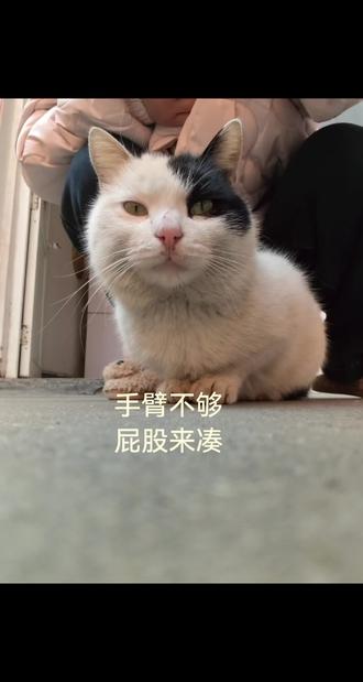 不管怎样,屁股总在你身后