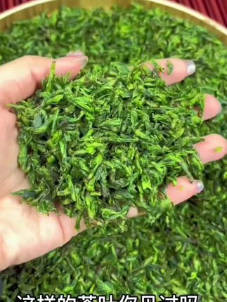 喝腻了千篇一律的茶,一定要试试小叶苦丁茶!它的泡法超简单,取一小撮干茶放入杯中,注入80C左右的热水,静候片刻。茶汤清透,嫩绿的茶叶在水中舒展,清香随之飘散,光是闻着就很治愈,爱喝茶的干万别错过。#今天你喝茶了吗 #小叶苦丁茶#超便宜超划算 #新茶上市 #呼唤茶友