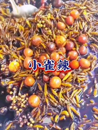 正儿八经的小米辣泡椒,也叫小雀辣,喜欢吃辣的老乡不要不错过,一口一个太过瘾了#小米辣 #小雀辣 #小雀辣泡椒 #云南美食 #开胃