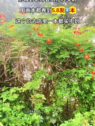 家人们,我也不想买,可是5块8发4本加厚图画本真的很难不心动! 纸张特别厚实,孩子用马克笔、水彩笔使劲画都不透纸不透色,旁边还有贴心的虚线设计,画完轻松一撕,整整齐齐。而且是米黄护眼纸张,能更好地保护孩子的眼睛。这么厚一本,孩子尽情创作根本翻不完。无论是孩子日常涂鸦、上美术课,还是大人偶尔画画,都超合适。这个价格错过简直就是亏,赶紧给孩子囤起来! #图画本#学生文具 #学生用品 #无限回购的宝藏单品 #好物推荐🔥 @DOU+上热门 @DOU+小助手
