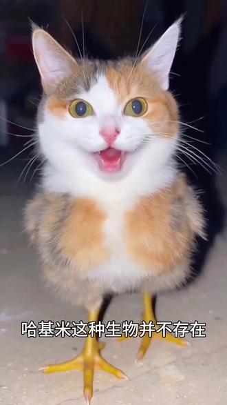 家人们!遇到这些你知道
哪些是AI吗,你能分清吗?
眼力大挑战,一眼辨真假!#科普一下 #AI视频 #真假辨别 #万物科普 #冷知识