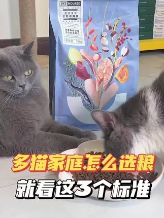 卫仕全阶段膳食猫粮成猫幼猫主粮高营养高蛋白萌宠好物#宠物零食 #猫咪增肥食品 #养猫新手 #猫零食 #宠物食品