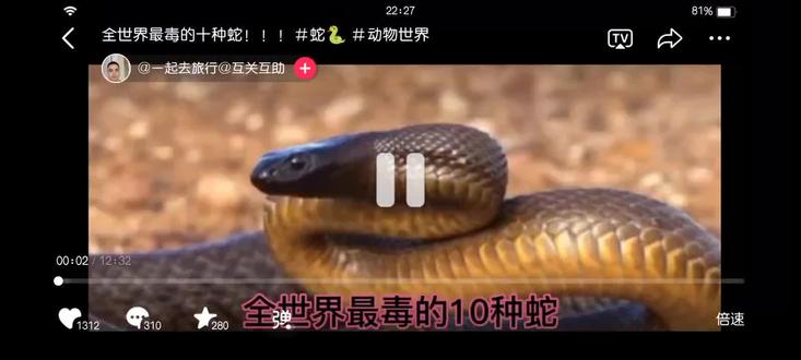 十大毒蛇排名