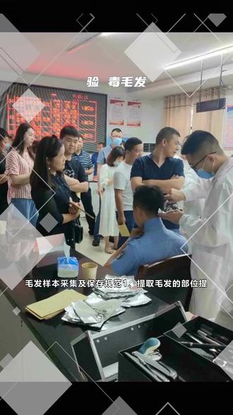 毛发检测在哪里可以做 #验 毒毛发 #毒驾毛发检测 #那里可以做毛发检测验毒 #毛发检测七个月 @华高-毛发检毒 污水验毒