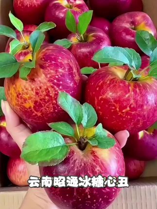 云南昭通冰糖心丑苹果 现摘现发 纯甜无酸 洗洗带皮吃 精品果#爆款热卖中#好物推荐#配饰