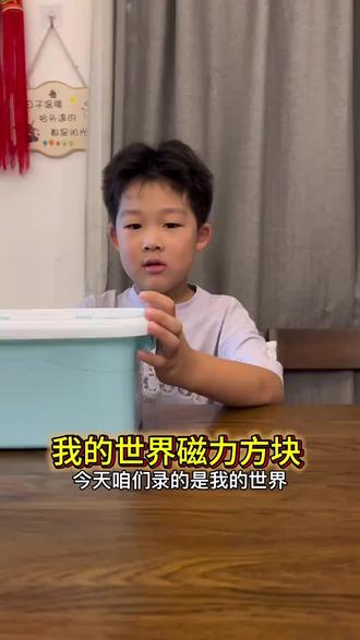 我的世界磁力方块