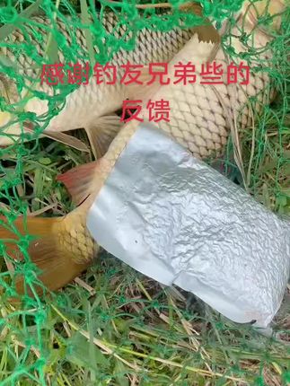 线下实体店,感谢钓友兄弟些的支持#感谢抖音我要上热门 #钓鱼人就是这么疯狂
