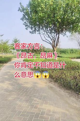 客家方言,《昂古,昂麻》你肯定不知道是什么意思#真实生活分享计划 #方言 #客家话 #抖加小助手 #随手一拍都是美景