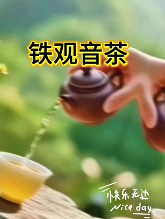 #铁观音茶 #铁观音