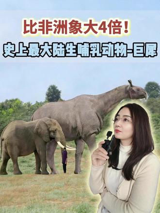 比非洲象大 4 倍!最大陆生兽巨犀太震撼! #亲子科普 #古生物 #亲子研学 #带娃去博物馆 #自然博物馆讲解