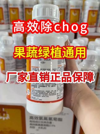 高效氯氟氰菊酯 #农作物果树病chong害防治 #厂家直发品质保障#助农增产增收