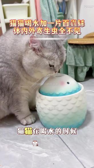 #养猫经验分享 就是这款百蟲铩,让猫狗体内外寄生虫都不见,开春了,养宠人注意了,如果你家的猫猫狗狗频繁的抓耳挠腮、啃咬指甲,啃身上,然后呢?蹭沙发,拖着屁股开火车,那就要引起重视了,这就是体内的虫子在作怪,定期给猫狗喂上这个百蟲铩,一瓶一百片,经济实惠,家里有猫狗的直接带回家。 #驱虫 #谁能拒绝傻憨憨的小猫咪 #科学养宠攻略 #猫咪驱虫好物