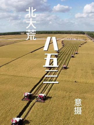 秋天的北大荒,忙碌的八五三,如同一场打响的战役。