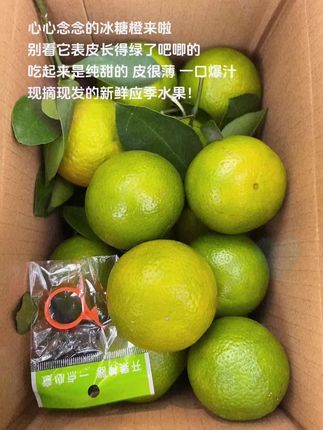 心心念念的冰糖橙来啦,别看它表皮长得绿了吧唧的,吃起来是纯甜的 皮很薄 一口爆汁#冰糖橙 #皇帝柑 #新鲜应季水果 #橙子 #立秋开吃啦