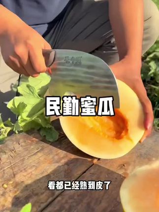 这个蜜瓜你们吃过吗?它就是我们甘肃明星 金红宝蜜瓜,生长在沙漠边缘,吃起来特别香甜,而且它的汁水也很足。咬一口下去满嘴都是蜜瓜的味道,真的太好吃了!喜欢吃蜜瓜的朋友千万不要错过,我们的品质很好,每一颗都是精挑细选出来的,喜欢的话就赶紧下单吧!#民勤蜜瓜 #民勤 #蜜瓜 #甜瓜 #创作灵感