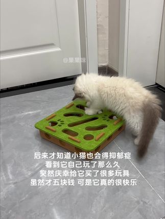 五块钱买它的快乐,真的值#猫玩具 #宠物玩具 #萌宠 #毛孩子 #猫咪