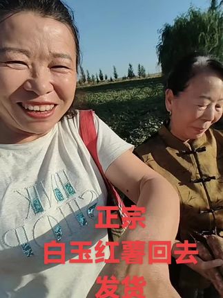 正宗的白玉红薯