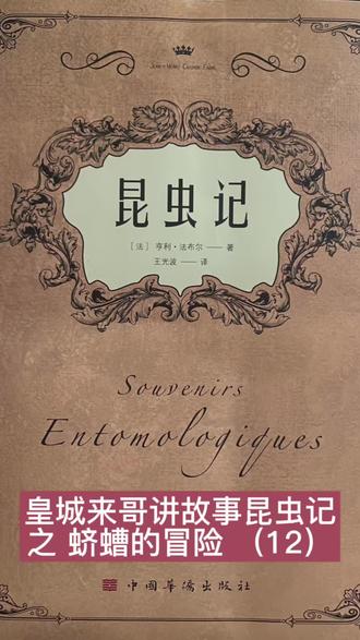 皇城来哥讲故事:昆虫记之蛴螬的冒险(12)