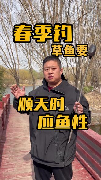 #春季钓鱼技巧 #钓草鱼 #草鱼饵料 春季钓鱼要顺天时应鱼性