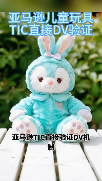 #创作灵感 亚马逊玩具品类TIC直接验证(DV)核心指南|卖家必看#亚马逊玩具认证 #tic审核