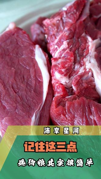 狗狗鲜食 狗狗鲜食-记住这三点选狗粮其实很简单#狗狗鲜食#狗狗鲜粮#宠物鲜食#狗饭#狗粮