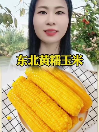 #东北黄糯玉米 #粗粮 #软糯香甜 #糯玉米 #黄糯玉米