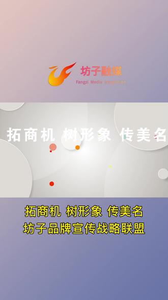坊子品牌宣传战略联盟