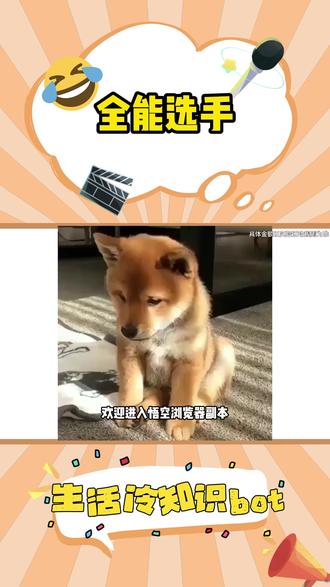 全能娱乐终端来喽#悟空浏览器##悟空浏览器