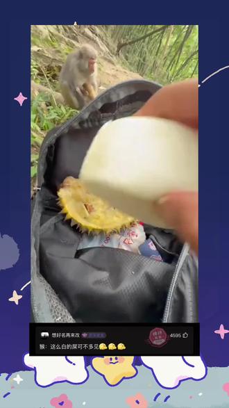 今日份快乐#搞笑 #搞笑视频 #搞笑日常 #猴子是人类最好的朋友