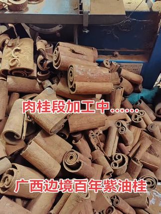 肉桂段(不含油或少许油),按客户要求加工#肉桂 #桂皮#紫油桂#香料 #广西特产 #越南油桂