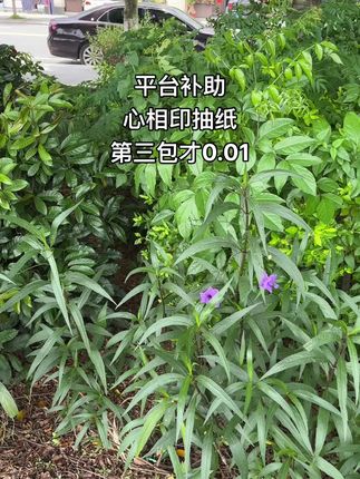 #生活用纸 #超便宜超划算 #新人福利第一单