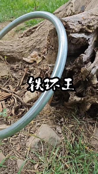 别宅在家里了,跟我出来滚铁环。#铁环 #户外健康运动 #8090后情怀玩具。#小时候的乐趣回忆
