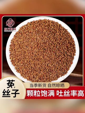 精选内蒙菟小丝子兔丝子干净正品小籽无硫新货泡茶佳品#菟丝子 #内蒙菟丝子 #菟丝子泡酒 #菟丝子茶 #菟丝子五味子茶