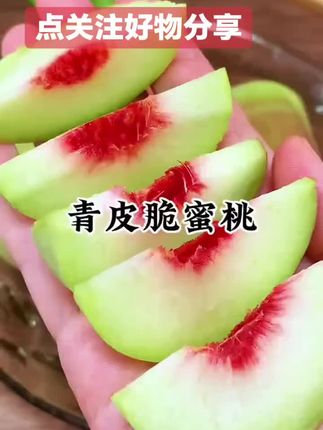 正宗山东青州蜜桃桃子新鲜脆桃脆甜离核毛桃新鲜当季水果包邮整箱