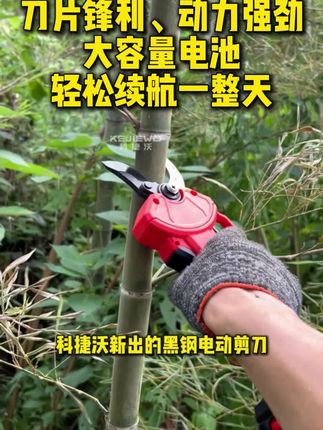 德国进口电动剪刀修枝太好用了,省时省力,厂家直销,手慢无!#园林工具#锂电剪刀#修枝剪#科捷沃电动剪刀