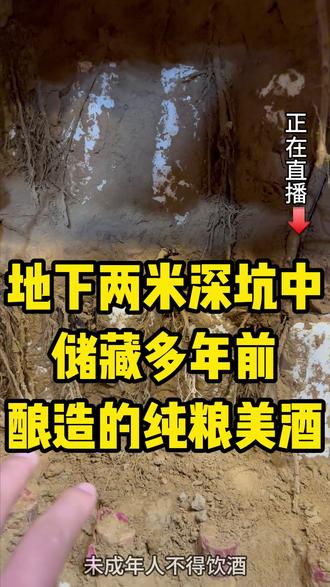 真正的陈年美酒,深藏地下深坑中!历经岁月打磨,酒体醇厚,回味悠长!#白酒 #酒文化 #口粮酒 #酿酒人 #古法酿酒