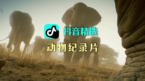 #趣味动物纪录片古早动物纪录片#解锁精选云假期#抖音精选lqy wyp1