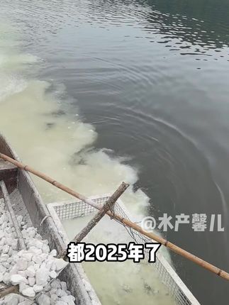 #水产养殖#水产人#四大家鱼