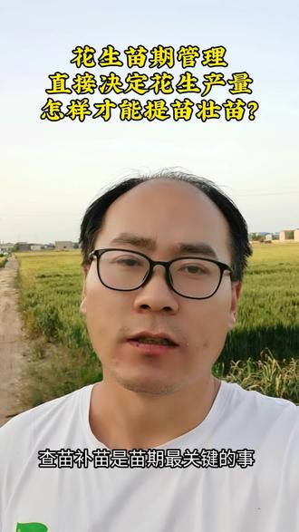 花生苗期如何管理#蜂灵农业#蜂灵农业常涛#作物全程管理#服务三农