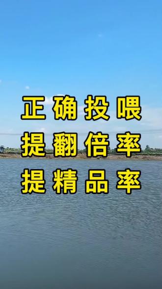 提翻倍率,提精品提产量,这个方法一定要用#河蟹养殖 #螃蟹养殖#大闸蟹养殖