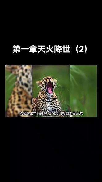 第一章【天火降世】(2)#小说 #原创