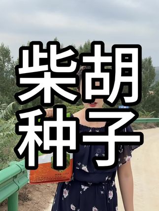 柴胡种子#柴胡#北柴胡