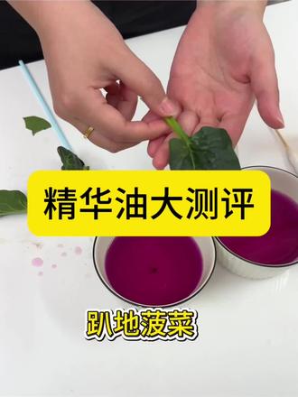 精华油大测评
#精华油#精华油测评#抗老提亮#真实生活分享计划#涨知识