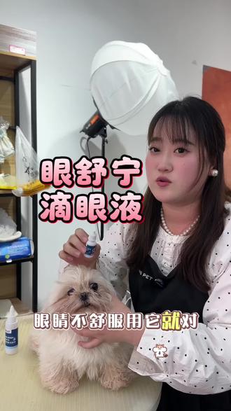 家里毛孩子眼睛经常不舒服的,有泪痕的,一定要常备一瓶滴眼液,成分温和不刺激,猫咪狗狗都能用#宠物 #泪痕 #养宠进阶指南 #科学养宠攻略 #萌宠好物