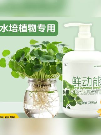 郝劭文推荐 水培植物专用保鲜营养液富贵竹铜钱草碗莲睡莲除绿藻 #郝劭文 #营养液 #保鲜营养液 #水培营养液 #营养液推荐