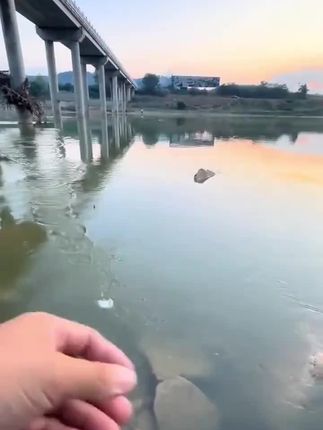 终于有人把根钓钩和冰丝虾结合做出了这款根钓冰丝虾#路亚 #根钓钩 #冰丝虾 #路亚翘嘴 #路亚青稍