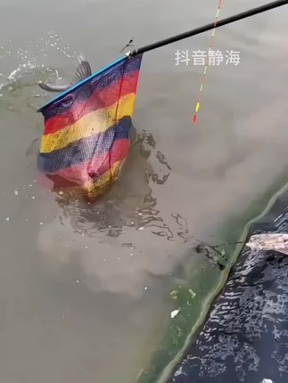 #抄网头 #抄网 #渔具用品