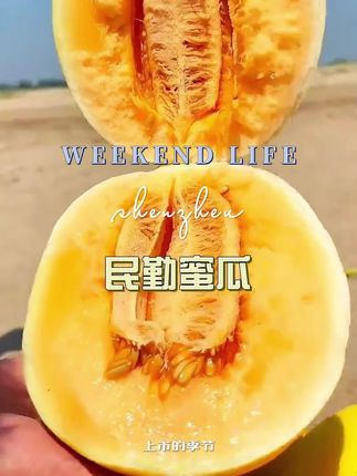 #民勤蜜瓜#好吃不贵经济实惠 #优质农产品