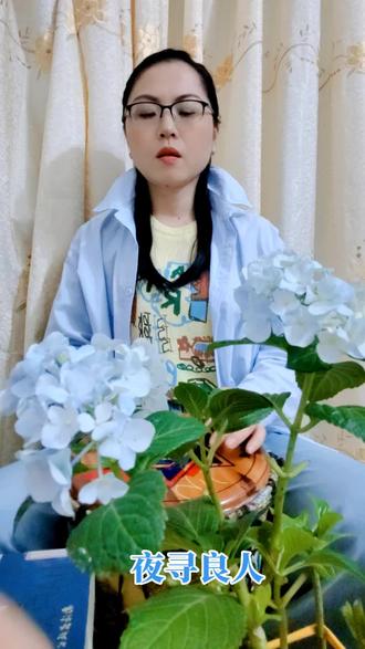 🩵🩵夜寻良人---作词哪哒香膏,演唱李海音🩵🩵
