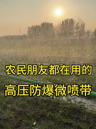 高效灌溉神器 喷水均匀细密 大面积浇地首选 耐压四公斤 整卷一百米 需要的哥哥下方小黄车购买 #水带 #农业灌溉 #微喷带 #喷灌#节水灌溉